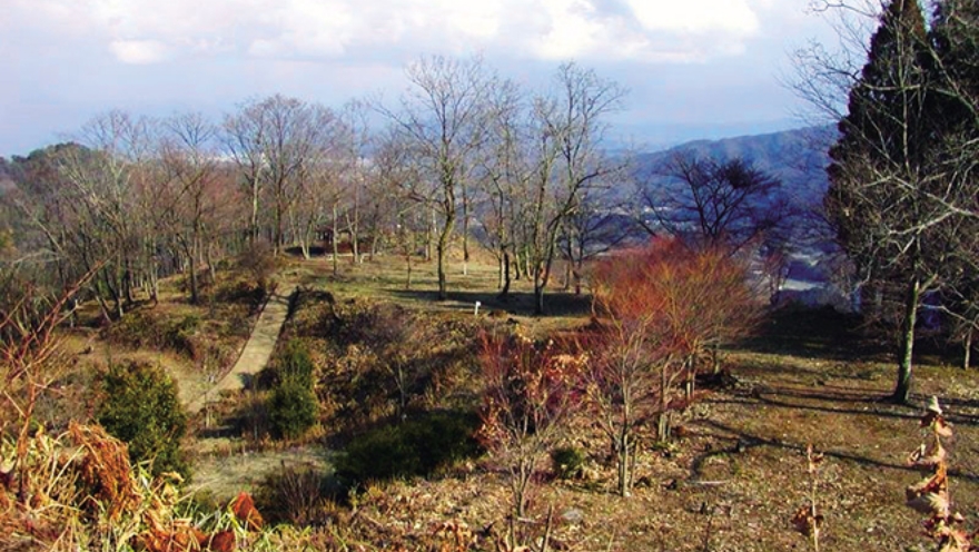 イメージ写真。岩屋城跡