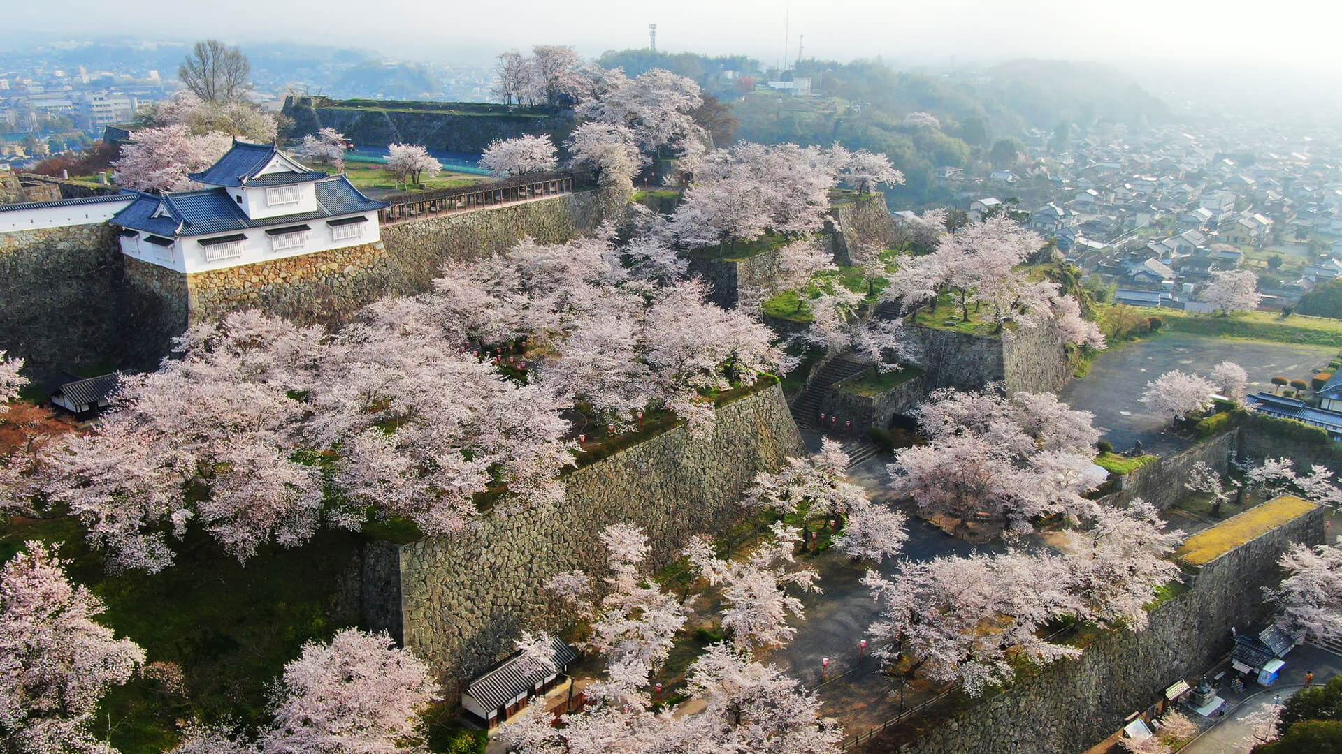 城下館のイメージ写真。桜が咲く鶴山公園の様子です。