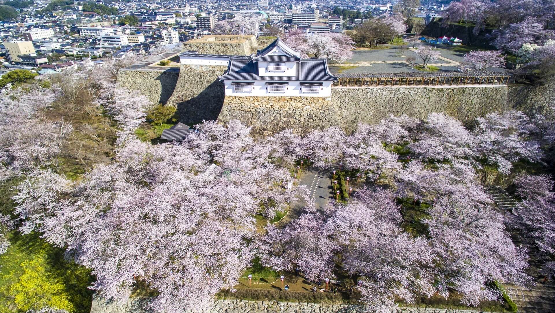 イメージ写真。上空から撮影した春の鶴山公園