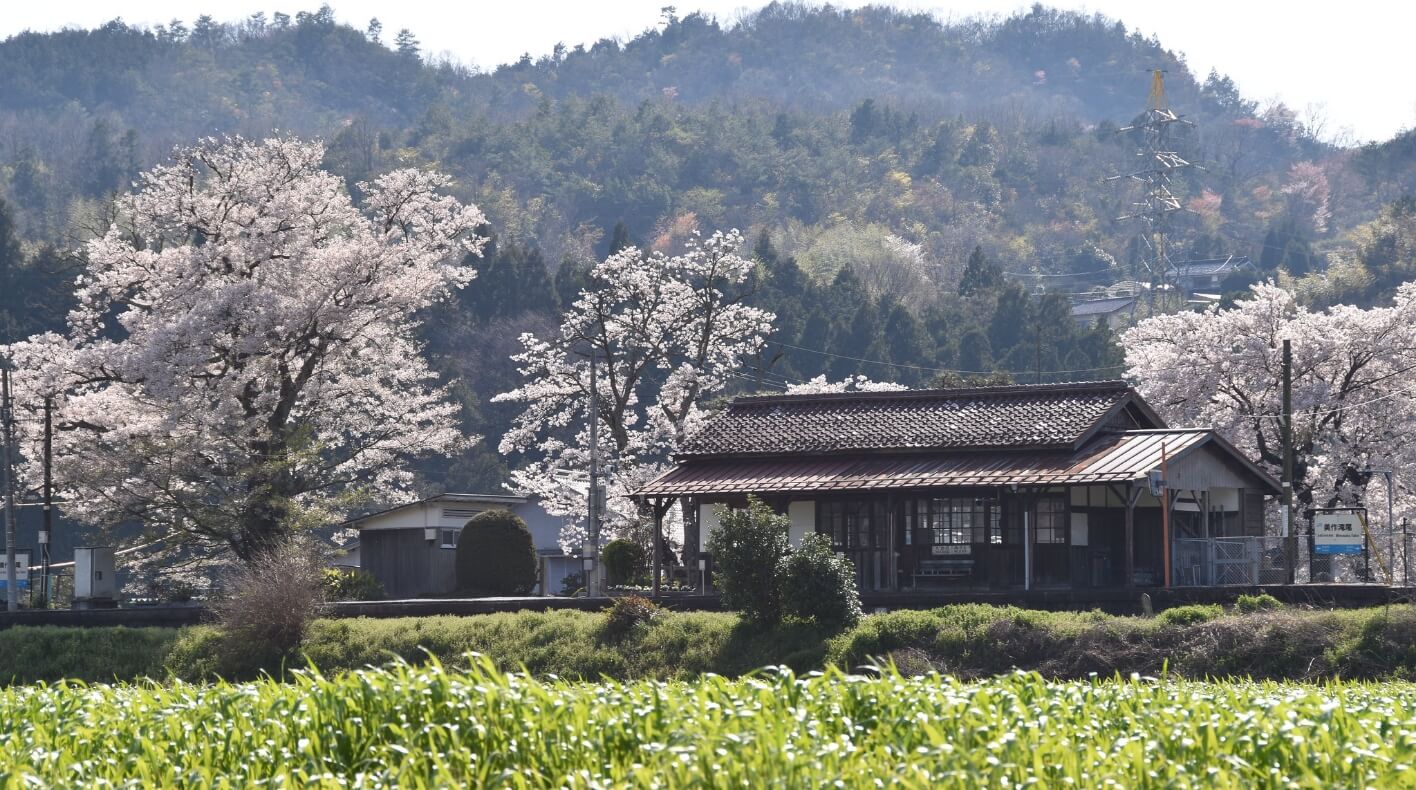 加茂館だよりイメージ