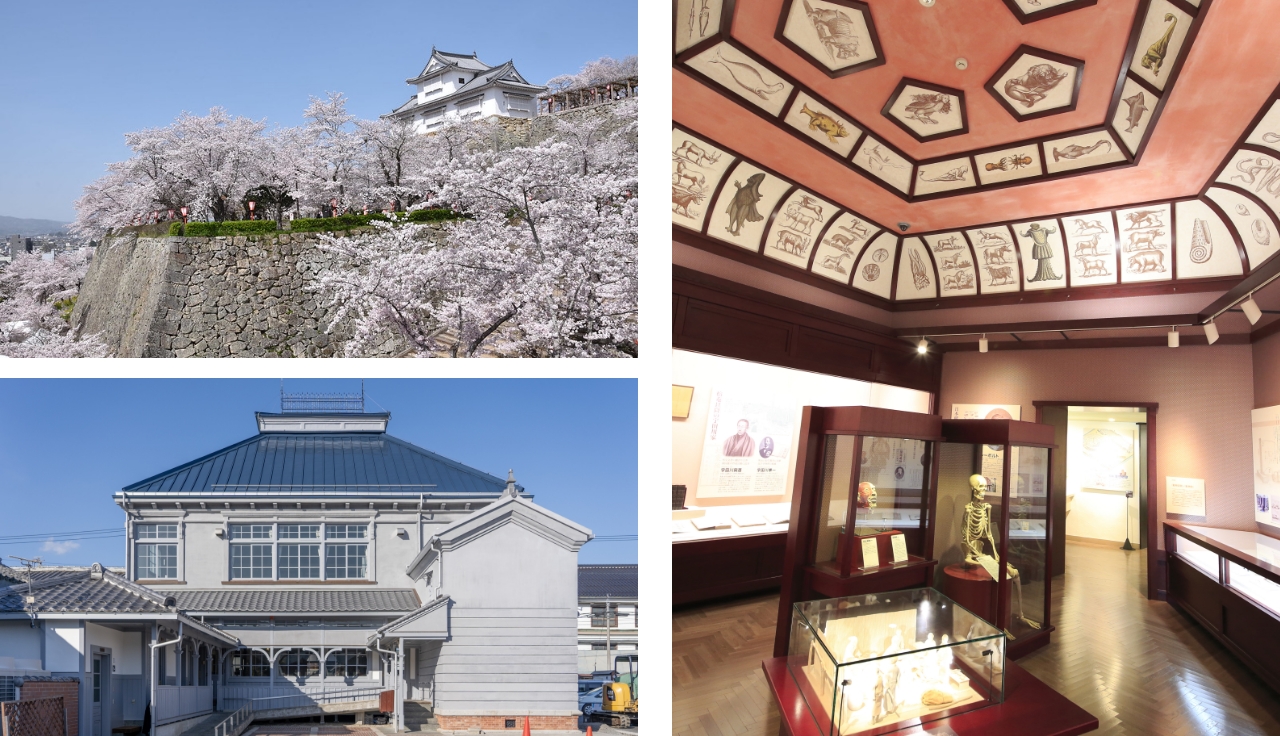 城下町周遊コースのイメージ写真。つやま自然のふしぎ館、作州民芸館、津山洋学資料館の写真が並ぶ